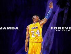 开云体育官网-威廉姆斯绝地反击，新星皮亚斯特里凭一己之力扭转车队命运