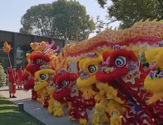 开云官网-关于更有力春节在线球赛，群众活动水涨船高的信息