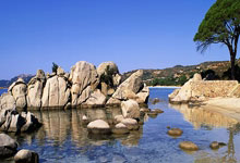 开云体育在线-曼联中场球员表现出色，帮助球队取胜